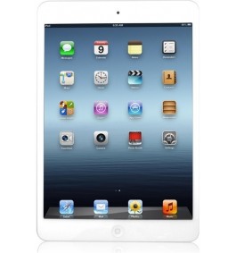 Apple iPad Mini 16GB Wi-Fi White | GOTT SKICK | OLÅST
