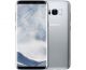 Samsung Galaxy S8 64GB Arctic Silver | Tydligt inbrända pixlar | TOPPSKICK | OLÅST